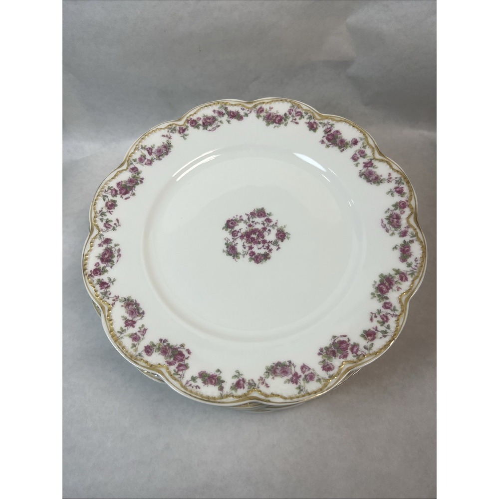 Haviland & Co Limoges Schleiger‎ 270 Dinner Plates. 9.75" Set Of 7. France. Excl